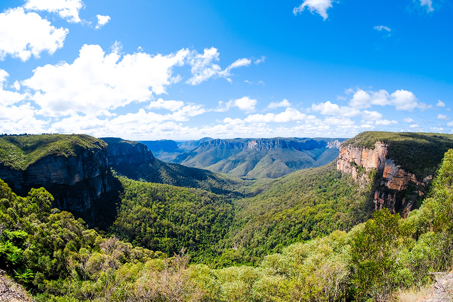 Australijska flora widok panoramiczny na góry i doliny