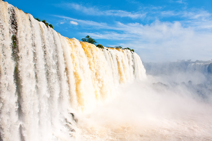 Wodospad Iguazu. Po lewej rzeka spływa w dół wodospadu. Wokół dużo piany i pary wodnej. Na szczycie wodospadu kilka małych drzew.