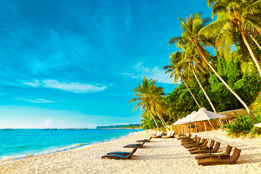 Po prawej plaża z leżakami, parasolami i palmami. Po lewej woda.